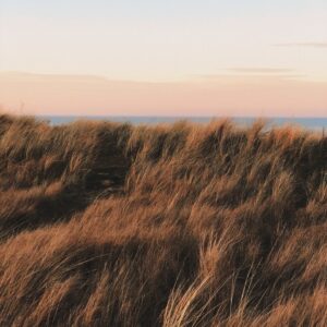 Earth & Ether at North Norfolk Coast with view of sand dunes and sea